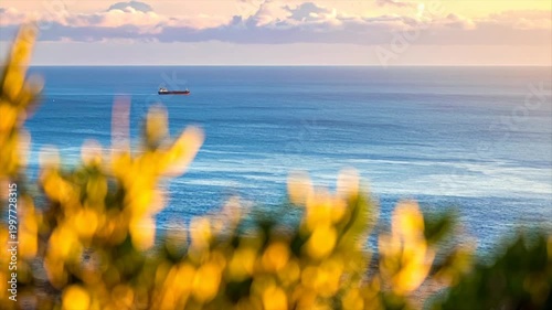 A distant ship sails the ocean under a cloudy sky, with blurred foliage in foreground