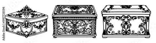 Ornate silver box set with intricate black line art on white background featuring silver, ornamentation, design with elegance and detail