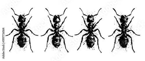 ant , Grunge brush distressed paint splatter vector set 