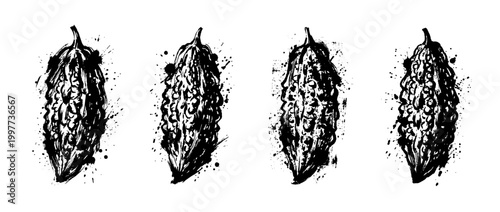 bitter melon , Grunge brush distressed paint splatter vector set 