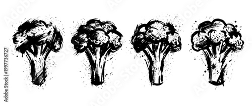 broccoli , Grunge brush distressed paint splatter vector set 