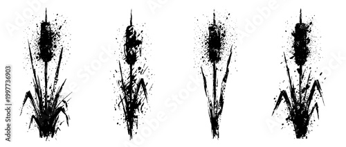 cattail , Grunge brush distressed paint splatter vector set 
