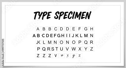 Alphabet Type Specimen Display Board.
