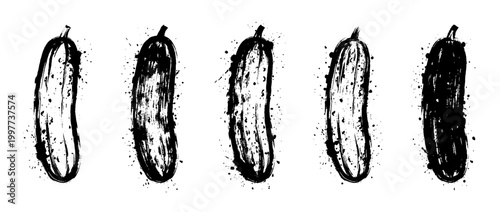 cucumber , Grunge brush distressed paint splatter vector set 