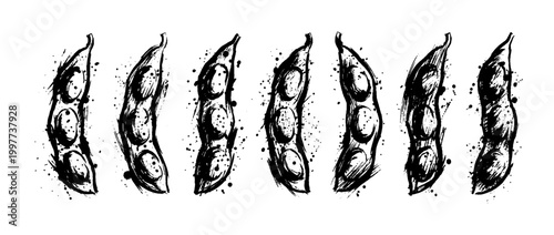 edamame , Grunge brush distressed paint splatter vector set 