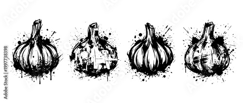 garlic , Grunge brush distressed paint splatter vector set 
