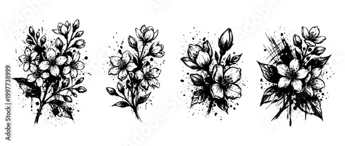 jasmine , Grunge brush distressed paint splatter vector set 