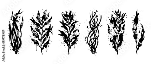 kelp , Grunge brush distressed paint splatter vector set 