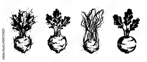 kohlrabi , Grunge brush distressed paint splatter vector set 