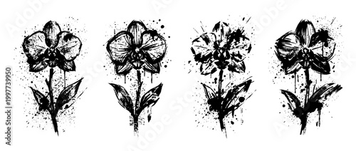 orchid , Grunge brush distressed paint splatter vector set 