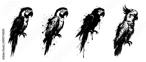 parrot , Grunge brush distressed paint splatter vector set 