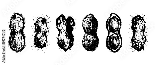 peanut , Grunge brush distressed paint splatter vector set 