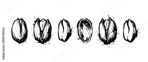 pistachio , Grunge brush distressed paint splatter vector set 