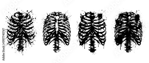 rib , Grunge brush distressed paint splatter vector set 