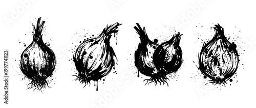 shallot , Grunge brush distressed paint splatter vector set 