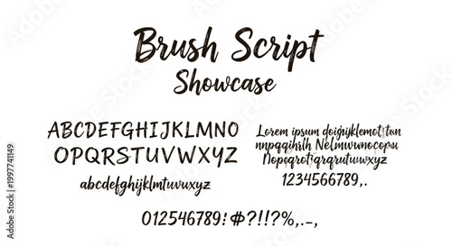 Brush Script Alphabet Lettering Font Style.