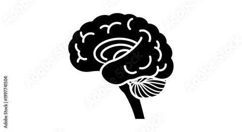 Human Brain Stem Anatomy Silhouette Icon