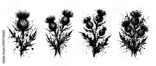 thistle , Grunge brush distressed paint splatter vector set 