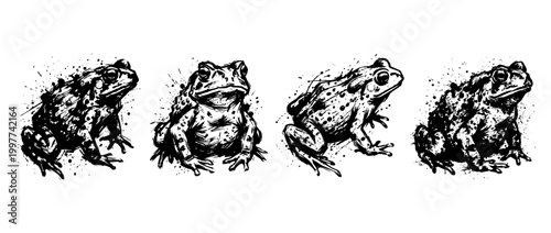 toad , Grunge brush distressed paint splatter vector set 