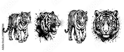 tiger , Grunge brush distressed paint splatter vector set 