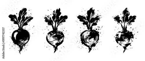 turnip , Grunge brush distressed paint splatter vector set 