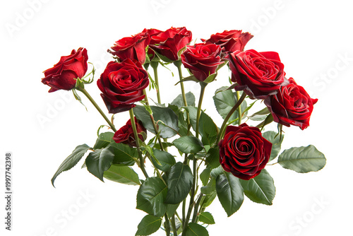 Beautiful Bouquet of Red Roses Isolated on White Background for Valentine's Day or Anniversary