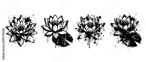 water lily , Grunge brush distressed paint splatter vector set 