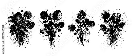watercress , Grunge brush distressed paint splatter vector set 
