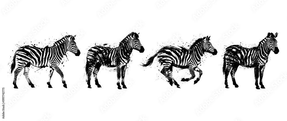 Fototapeta premium zebra , Grunge brush distressed paint splatter vector set 