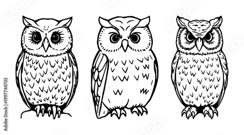 Hand-carved soapstone owl set with black line art on white background featuring owl, soapstone, carving with minimalism and illustration