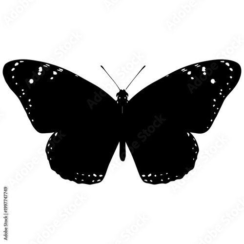 Monarch butterfly silhouette, black and white vector graphic, isolated on white
