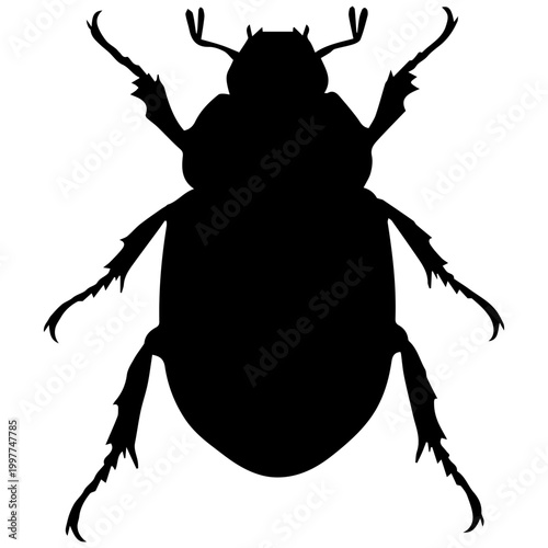 Black silhouette of a scarab beetle on a white background, top-down view