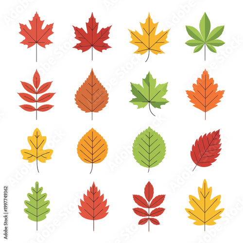 Autumn Leaves Collection: Colorful Fall Foliage Icons