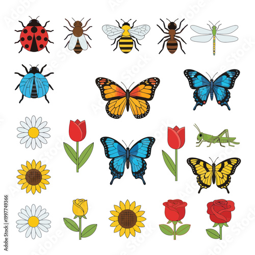 Collection of Colorful Insects and Flowers, Vector Illustrations for Spring and Summer