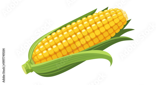 Fresh Corn on the Cob with Green Leaves, Isolated on White Background