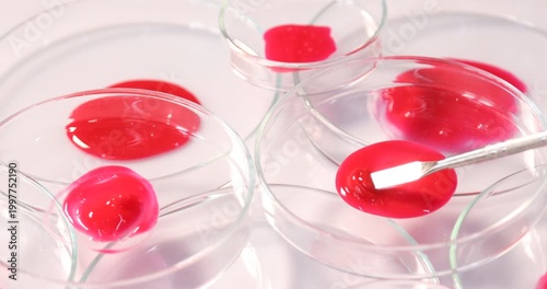 Biochemistry. Stirring laboratory sample with spatula in petri dish at table, closeup
