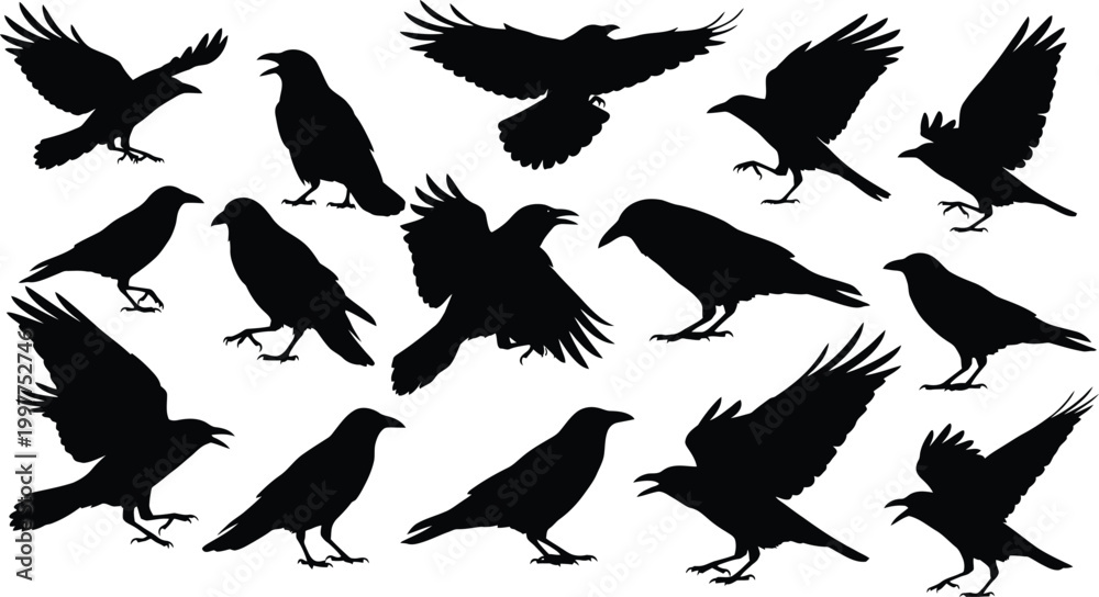 Obraz premium Flock of black birds in flight a silhouette collection