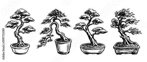 bonsai tree , chalk texture vector set