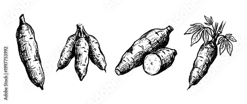 cassava , chalk texture vector set