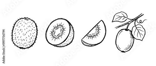 kiwi , chalk texture vector set