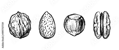 nut , chalk texture vector set