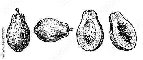 papaya , chalk texture vector set