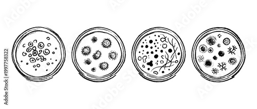 petri dish , chalk texture vector set
