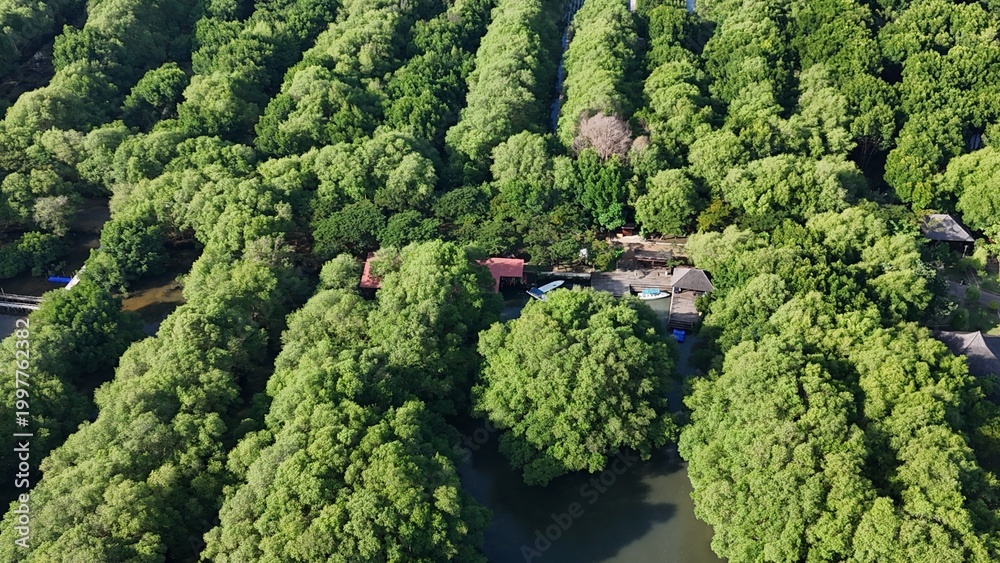 Naklejka premium a green mangrove tree islands growing densely in a network of winding, calm, dark water channels under natural daylight, forming a stunning pattern.