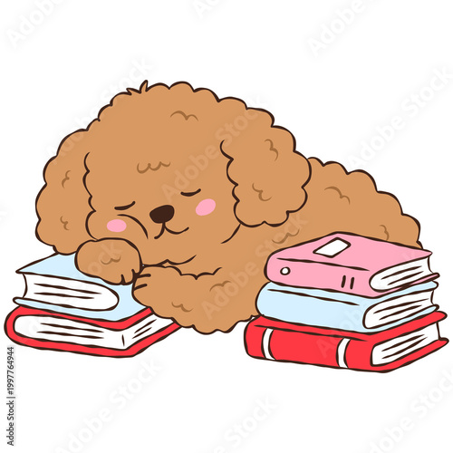 Cute Brown Poodle Puppy Sleeping on Stack of Books, Adorable Curly Dog Reading and Study Illustration