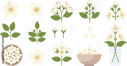 Art & IllustratioJasmine Flower Icon Set with Blooms, Stems, Leaf Branches, Buds, Bowls, and Vase for Herbal Aromatic Botanical Floral Nature Designs.n