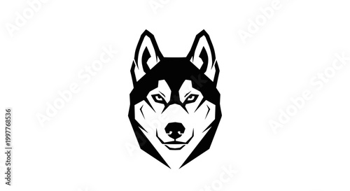 Black and white husky dog face.