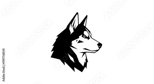 Black and white husky dog head.