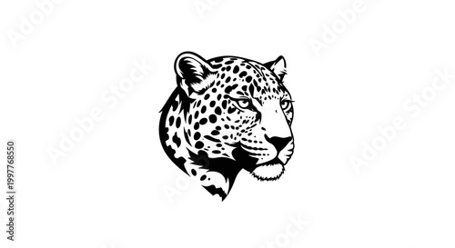 Black and white leopard head portrait.