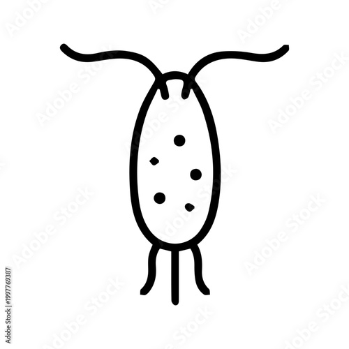 Microorganism Cell Icon